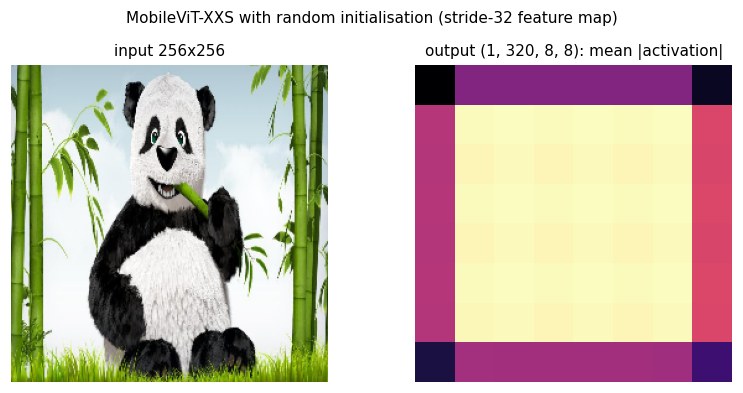 A 256 by 256 panda photo next to an 8 by 8 heatmap of the mean absolute activation of the output feature map.
