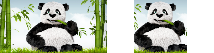 _images/CenterCrop.png