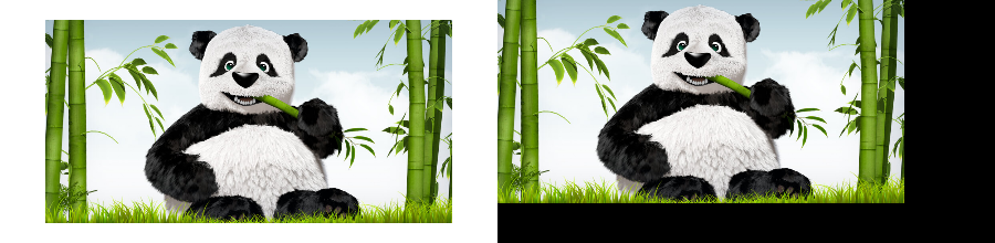 _images/PadTo.png