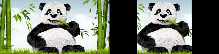 _images/CenterCrop.png