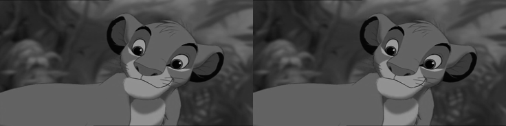 _images/grayscale_to_rgb.png