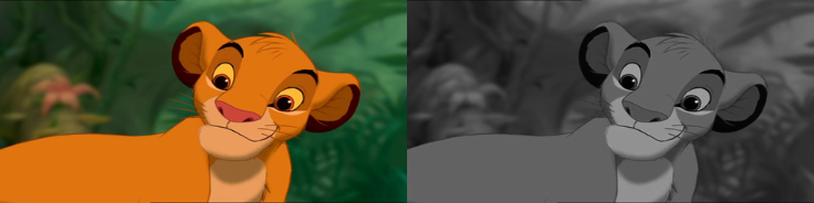 _images/rgb_to_grayscale.png