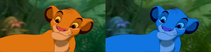 _images/rgb_to_bgr.png