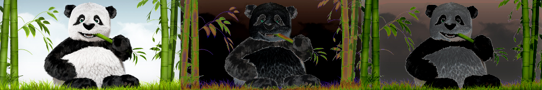 _images/RandomSolarize.png