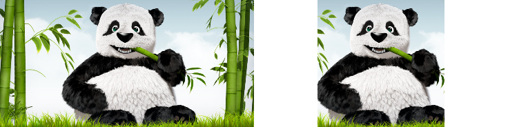 _images/CenterCrop.png