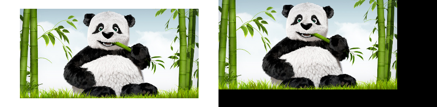 _images/PadTo.png